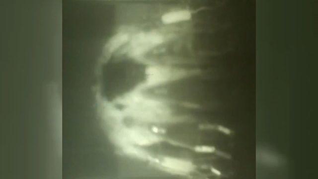 Rusya, insansız sualtı aracı  Poseidon un görüntülerini yayınladı 4