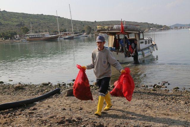 Belediye dalgıçları Gümbet koyunu temizledi