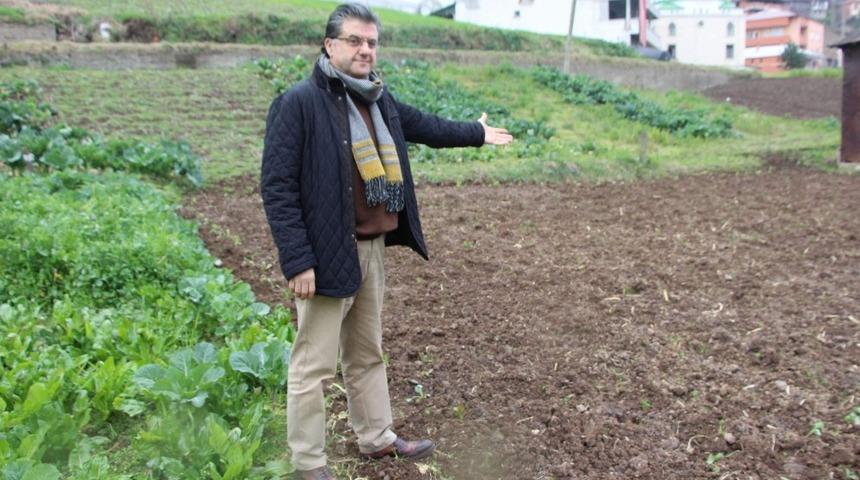 D&uuml;nyada patates &uuml;retimi yapan &uuml;lkelerde &ldquo;Patates Siğili Hastalığı&rdquo; g&ouml;r&uuml;l&uuml;yor