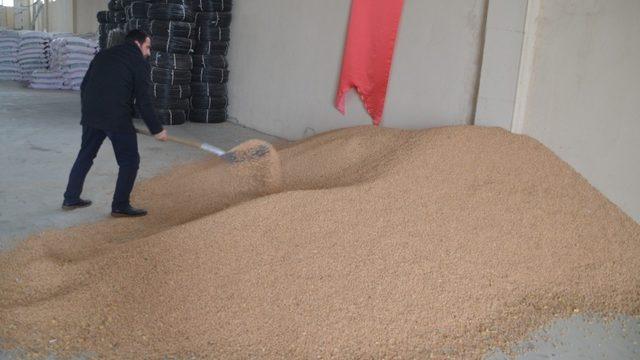 Devlet desteğiyle kurulan fabrikada ucuz nohut satışı