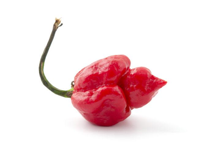 İşte dünyadaki en acı 10 biber türü G1