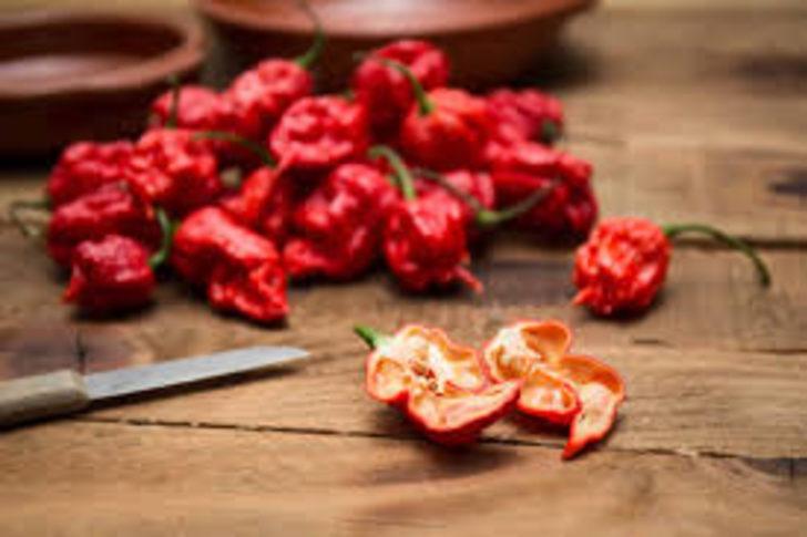 İşte dünyadaki en acı 10 biber türü G1