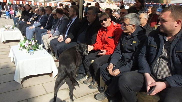 Sevimli köpek törene damgasını vurdu G5