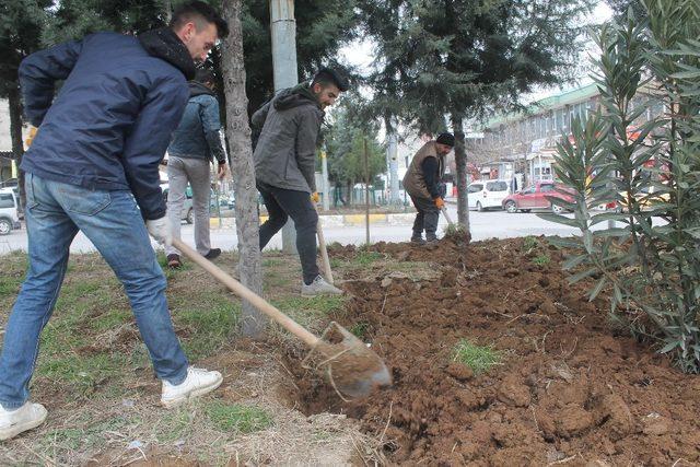 Kozluk’taki refüjlerde bahar çalışmaları başladı