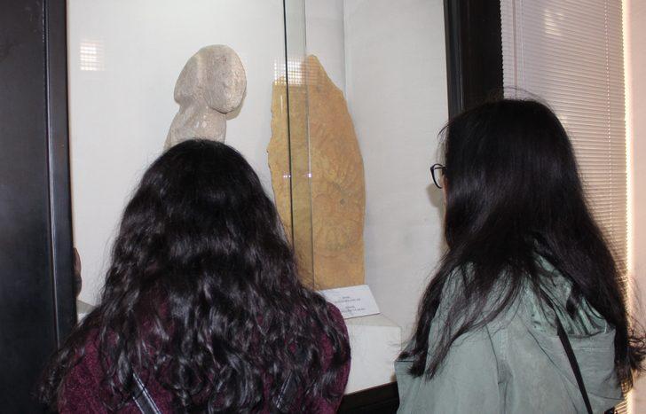 65 milyon yıllık salyangozun boyutları hayrete düşürüyor G4