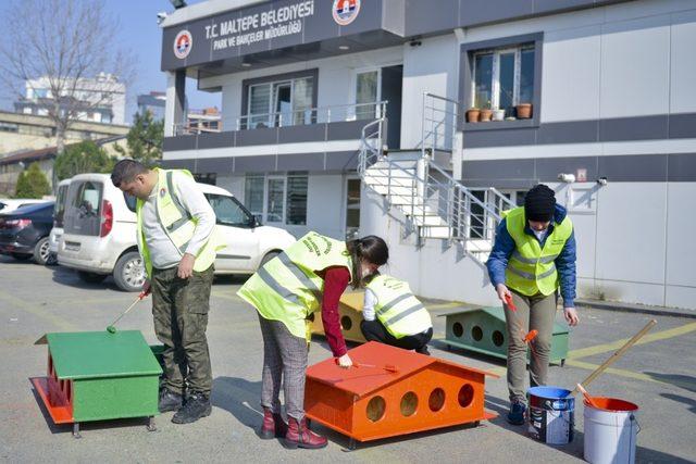 Maltepeli gençler sokaktaki dostları için boyadılar