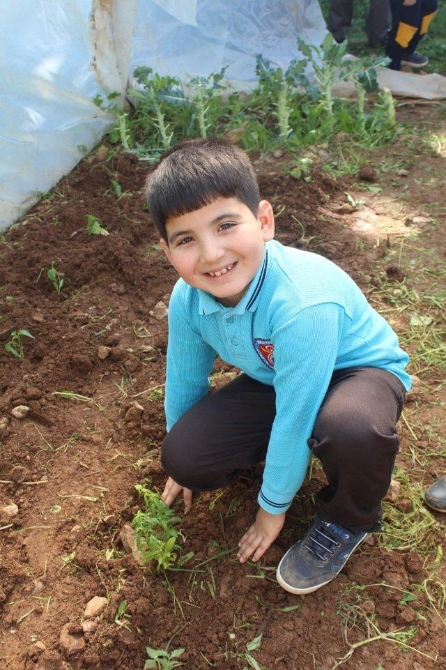 Bozyazı’da anasınıfı öğrencileri, okul bahçesine çiçek dikti