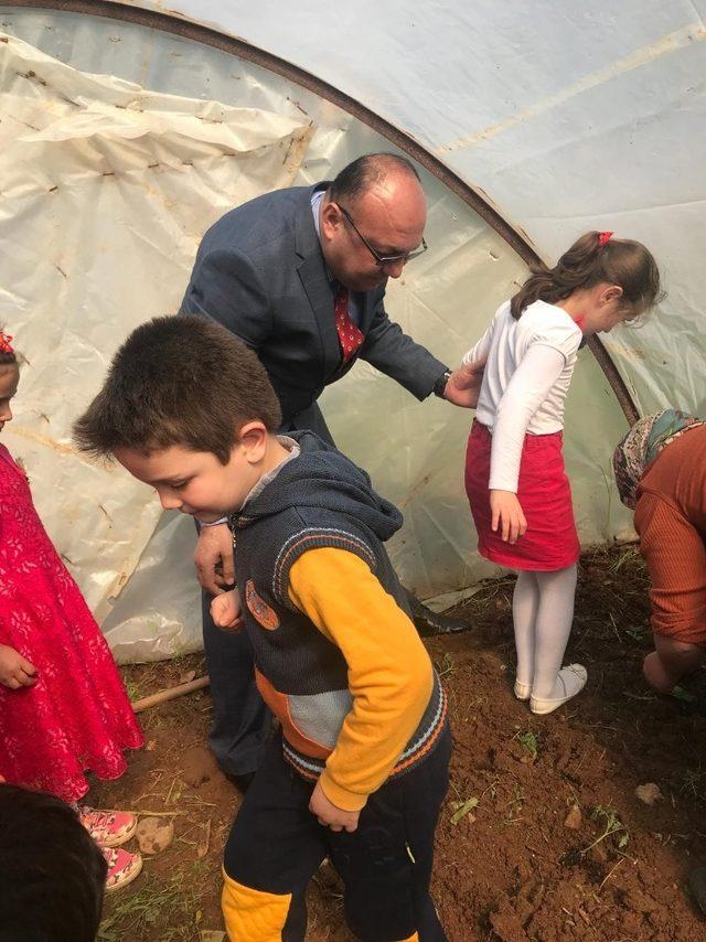 Bozyazı’da anasınıfı öğrencileri, okul bahçesine çiçek dikti