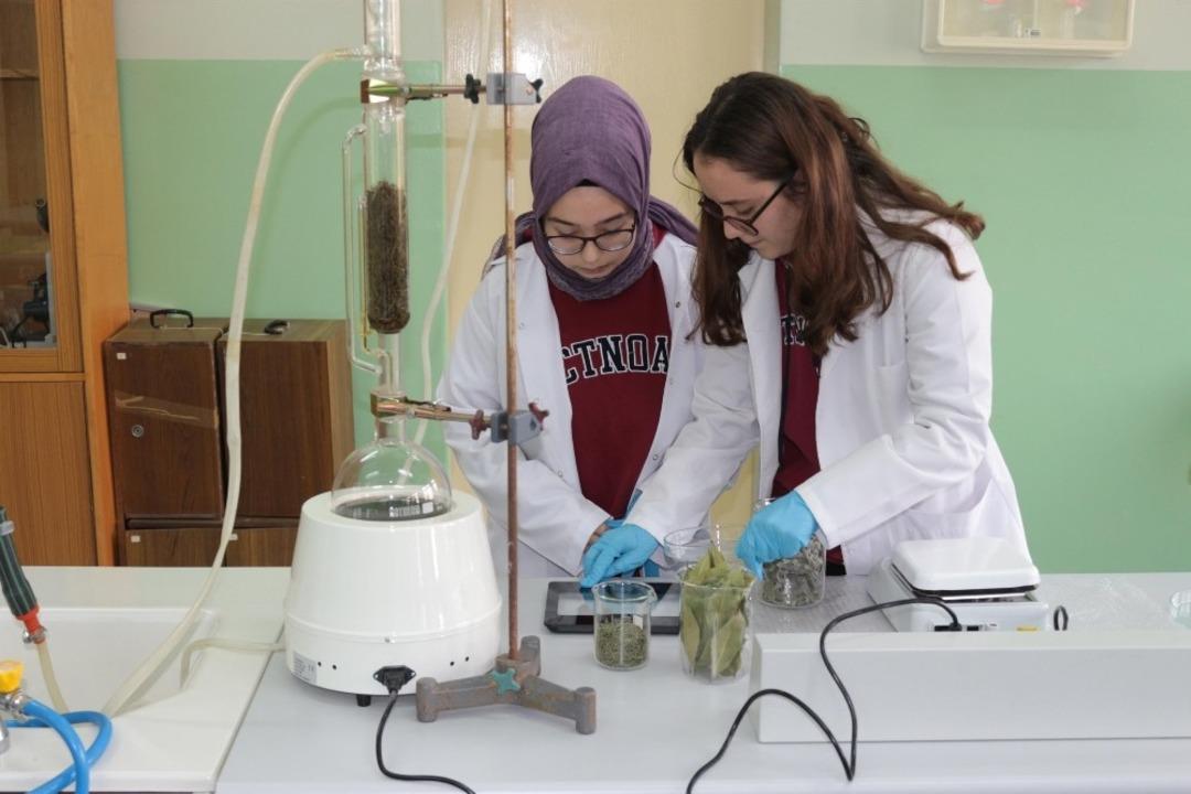 (&Ouml;zel) Defneyaprağı, ada&ccedil;ayı ve biberiyeden plastik &uuml;rettiler