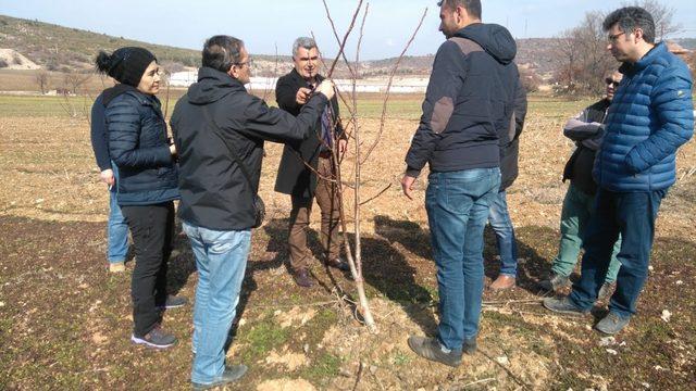 Akhisarlı çiftçilere budama eğitimi verildi