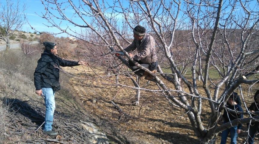 Akhisarlı &ccedil;ift&ccedil;ilere budama eğitimi verildi