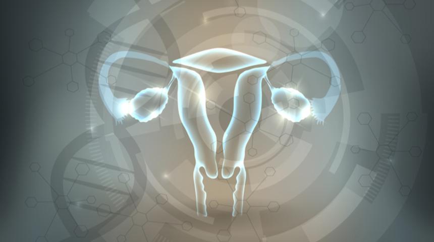 Miyomların b&uuml;y&uuml;me hızları ve tipleri