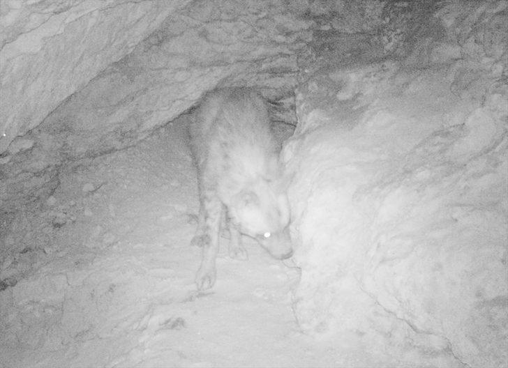 Adım adım onları takip ediyor G5