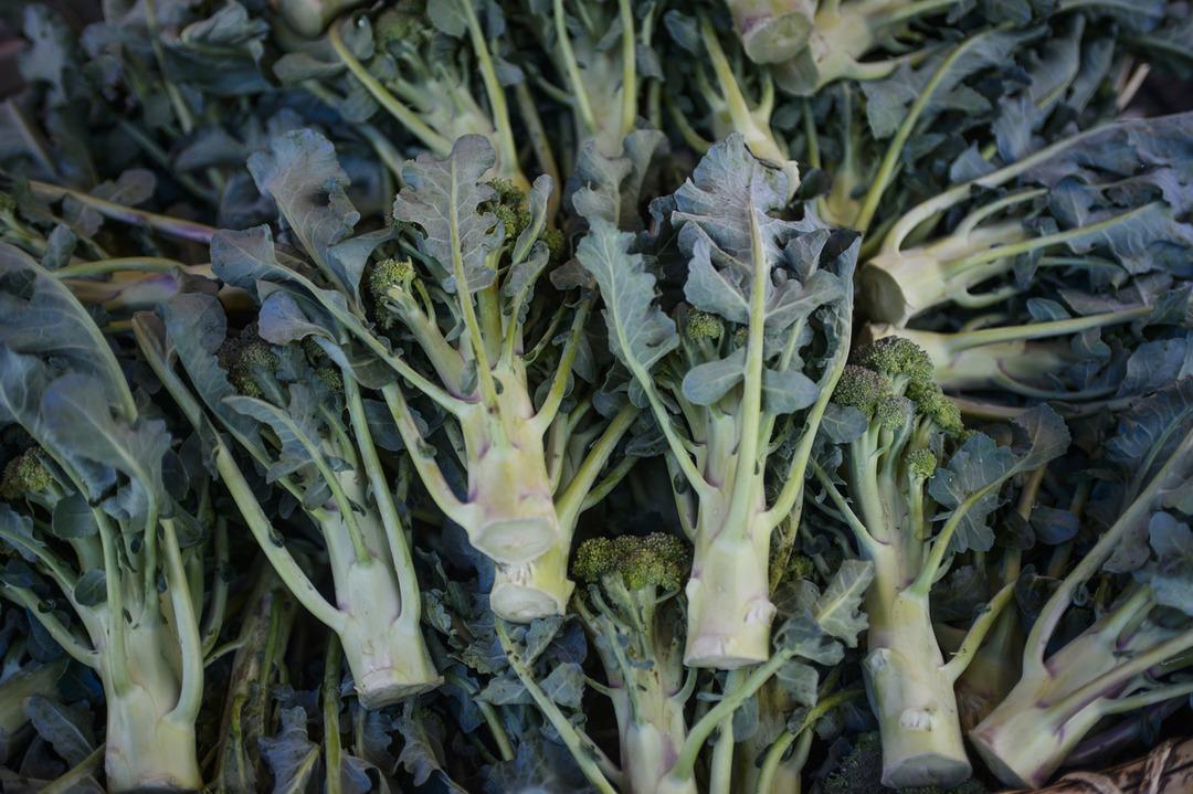 Asla &ccedil;&ouml;pe atmamanız gereken 5 yiyecek par&ccedil;ası