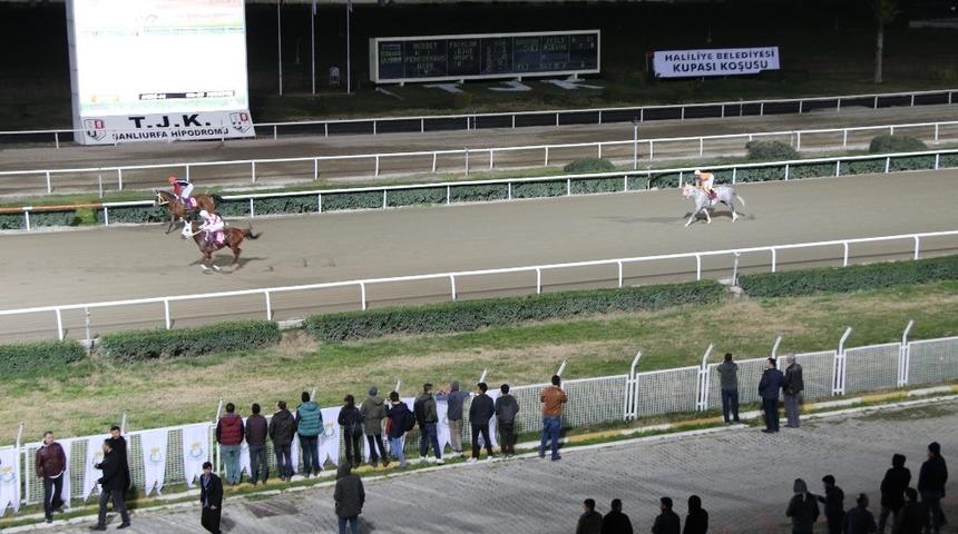 Haliliye Belediyesi koşusunu &lsquo;Delicihan&rsquo; kazandı