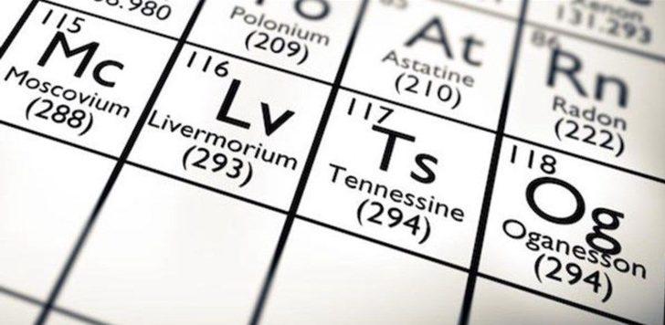 150 yıllık sır çözüldü! Zebraların çizgileri ne işe yarıyor? G1