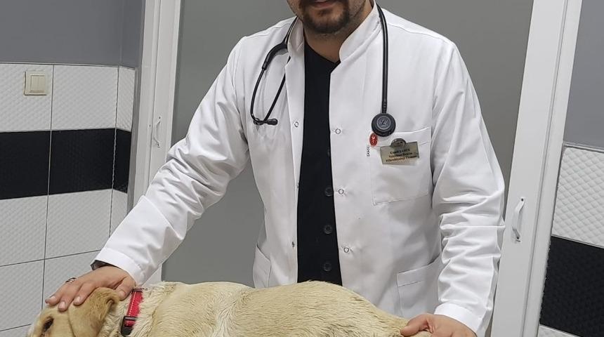 Aydın Veteriner Hekimler Odası Başkanı Cemil Şahin&rsquo;den se&ccedil;im taahh&uuml;d&uuml; a&ccedil;ıklaması