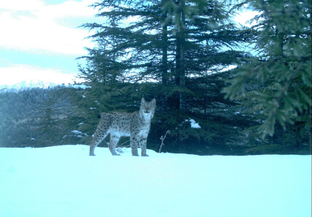 Bakanlık tespit edip tek tek kayıt altına alıyor 