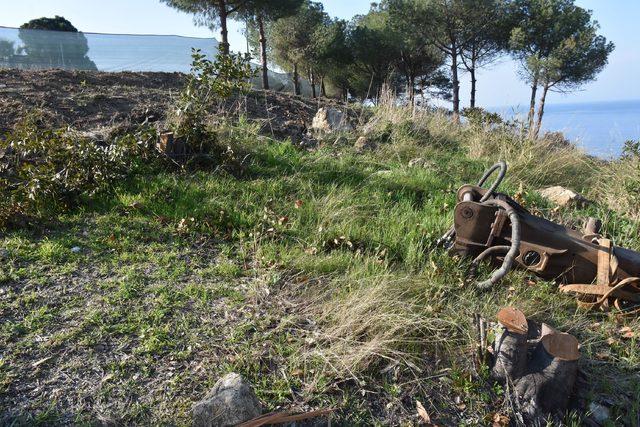 Kuşadası'ndaki alan için 'Kafeterya olmasın Botanik Park'a dahil edilsin' talebi