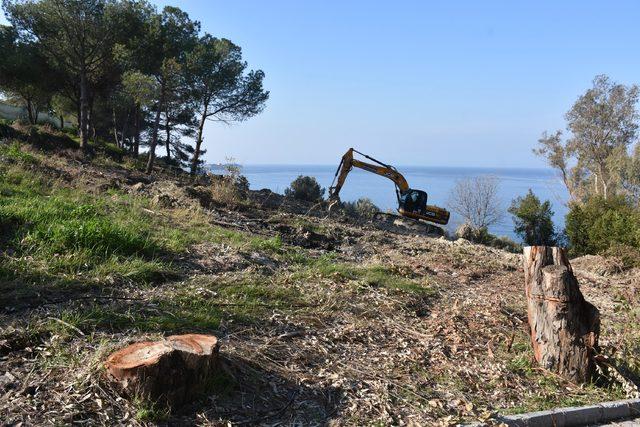 Kuşadası'ndaki alan için 'Kafeterya olmasın Botanik Park'a dahil edilsin' talebi