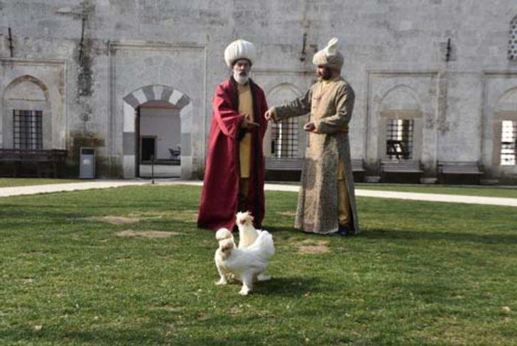 'Osmanlı sultan tavuğu' görenleri şaşırtıyor  G5