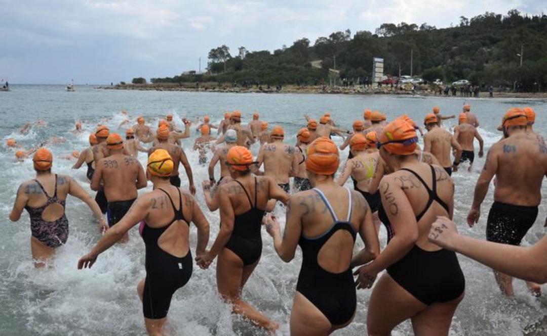 Sokak hayvanları i&ccedil;in denize girdiler 