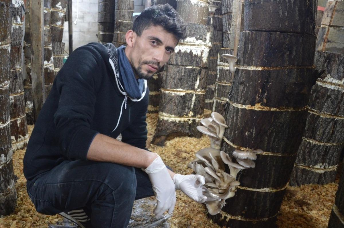 Gen&ccedil; girişimcinin mantar sevdası