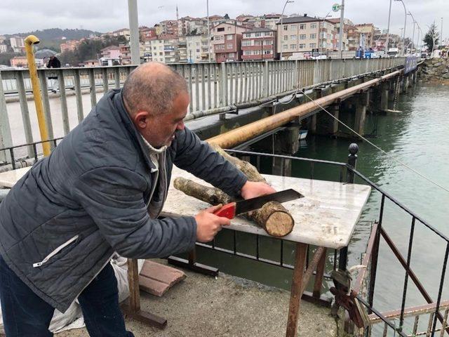 Kuru ağaç kökleri ve dallarından ev eşyası üretiyor