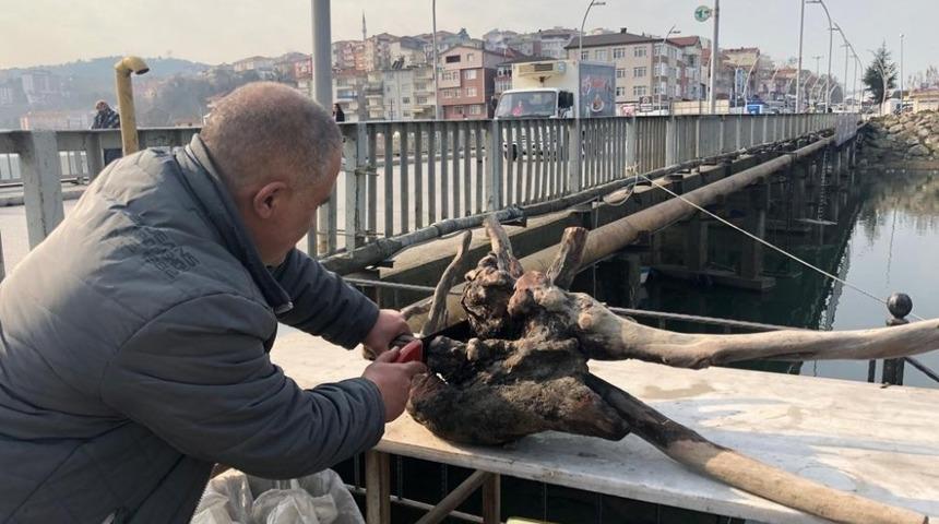 Kuru ağa&ccedil; k&ouml;kleri ve dallarından ev eşyası &uuml;retiyor