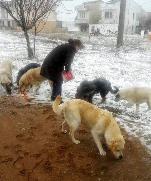 Karda yiyecek bulamayan hayvanları unutmadılar