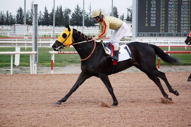 Adana Büyükşehir Belediye Başkanlığı koşusunu 