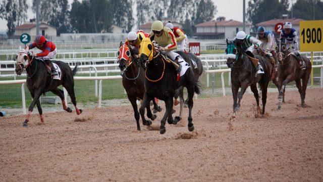 Adana Büyükşehir Belediye Başkanlığı koşusunu Bit Coin kazandı