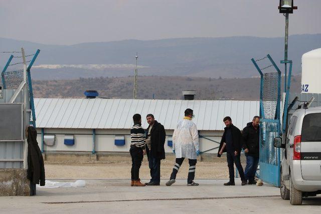 Bolu’da, 12 işçinin zehirlendiği tavuk işletmesinden açıklama