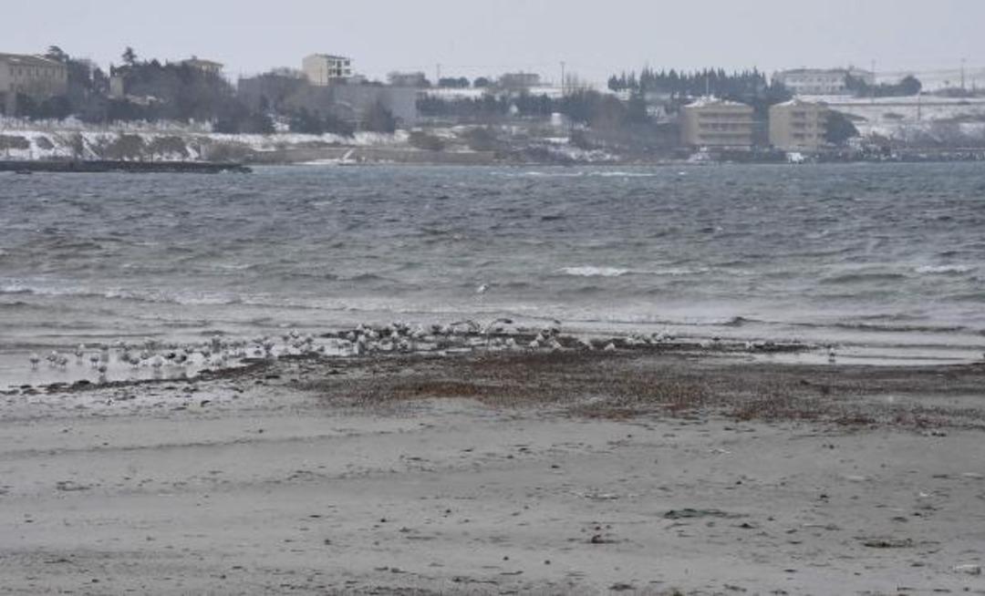 Tekirdağ'da korkutan g&ouml;r&uuml;nt&uuml;! Sular &ccedil;ekildi, kaldırım &ccedil;&ouml;kt&uuml;... Depremin habercisi mi?