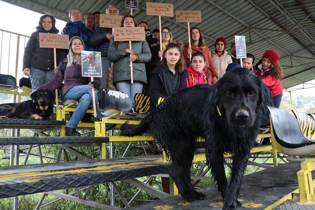 Bodrum'da köpeklerin zehirlenerek telef edilmesine tribünde protesto