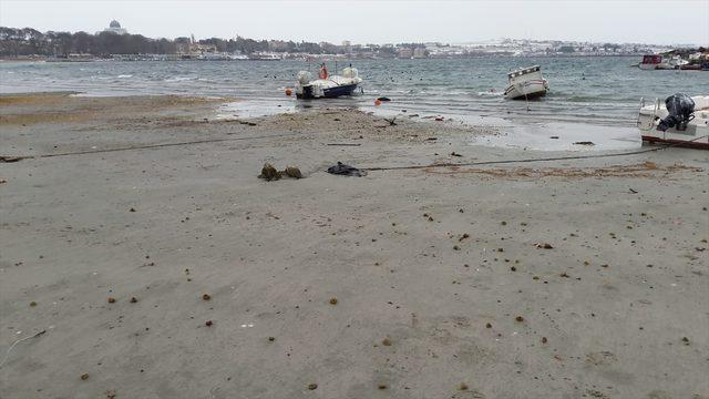 Tekirdağ'da deniz suyu 30 metre çekildi<br />
