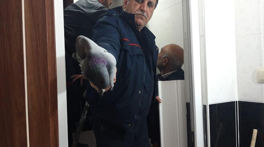 Havalandırma boşluğunda mahsur kalan g&uuml;vercin kurtarıldı