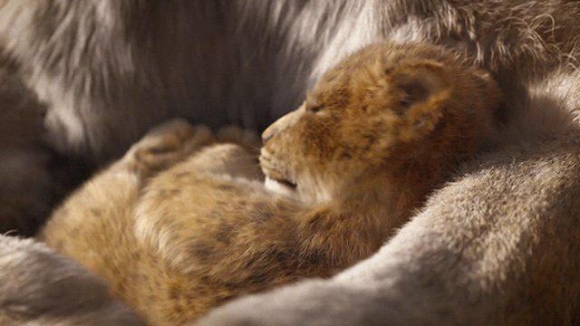 The Lion King filminden yeni teaser yayınlandı
