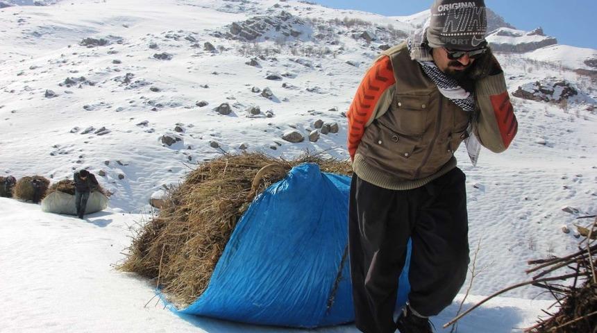Hakk&acirc;rili besicilerin kış &ccedil;ilesi