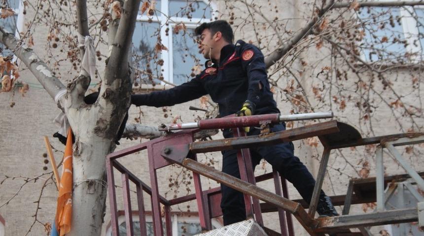 Ağa&ccedil;ta mahsur kalan kedi kurtarıldı