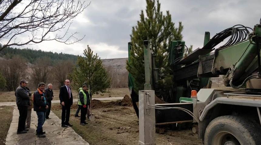 &Ccedil;avdarhisar&rsquo;da ağa&ccedil;landırma &ccedil;alışmaları