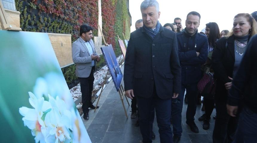 Cizre’de 2. Geleneksel Nergis Festivali başladı
