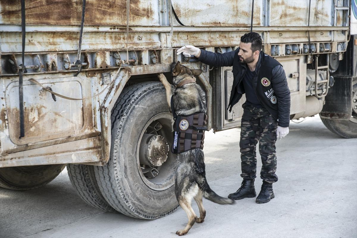 Cilveg&ouml;z&uuml;'n&uuml;n 'dedekt&ouml;r k&ouml;pekleri' kuş u&ccedil;urtmuyor 