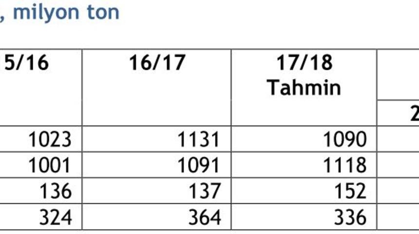 IGC 2018/19 dünya mısır üretim öngörüsünü yükseltti