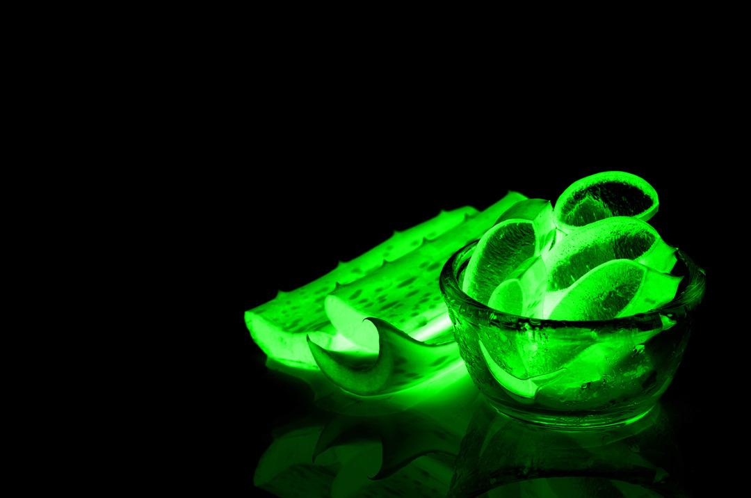 '&Ouml;l&uuml;ms&uuml;zl&uuml;k bitkisi, cennetin asası' Aloe Vera'nın &ccedil;&ouml;zemeyeceği sorun yok!