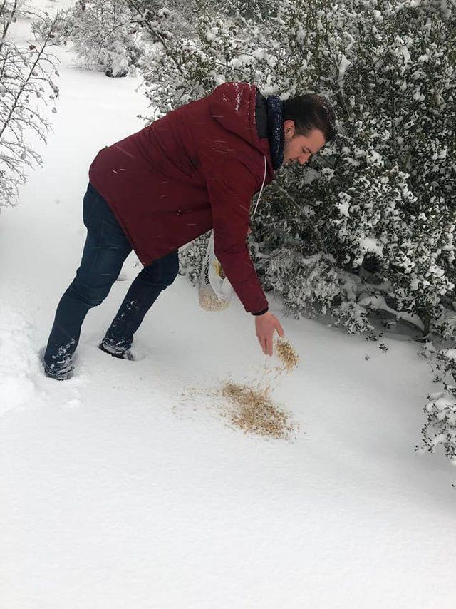 Biga’da  hayvanlar için doğaya yiyecek bırakıldı