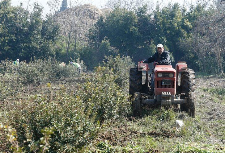 Çeşme Yarımadası'ndan yeniden 'altın' damlayacak! G2