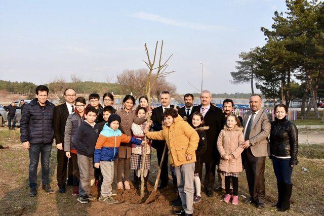 Bilecik’te 11 çınar ve ıhlamur ağacı fidanı dikildi