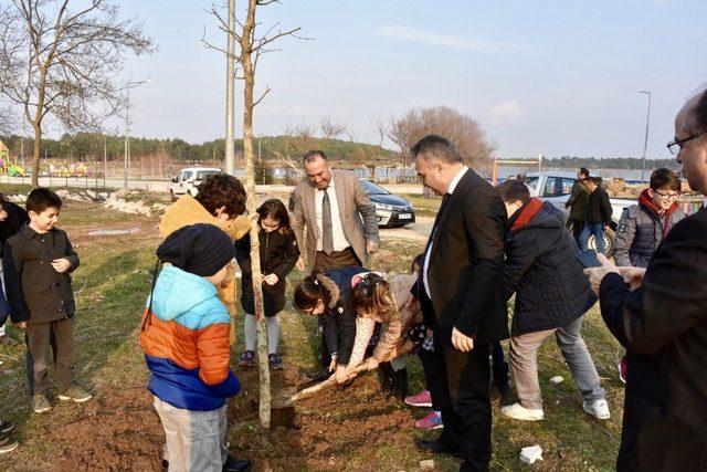 Bilecik’te 11 çınar ve ıhlamur ağacı fidanı dikildi