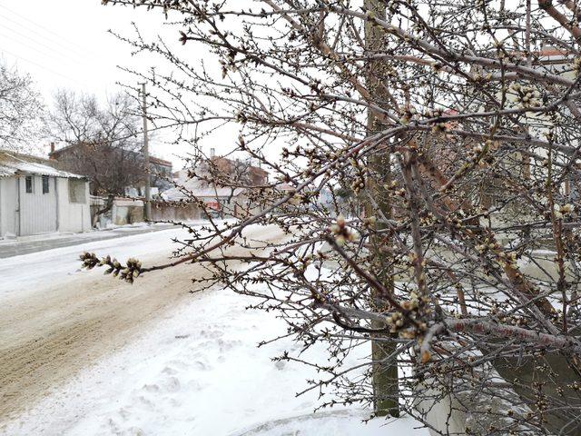 Trakya'da kar ve soğuk etkisini sürdürüyor (2)